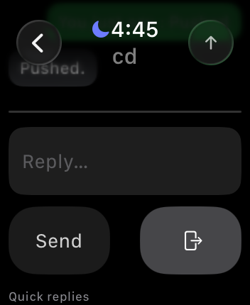 Watch quick reply